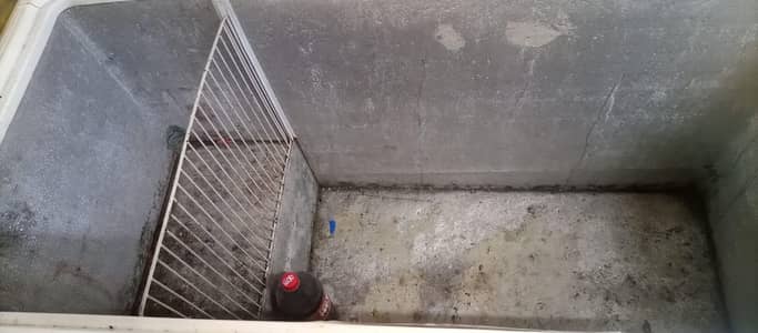 waves freezer for sale