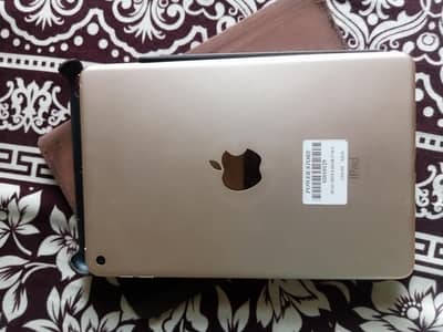 ipad Mini