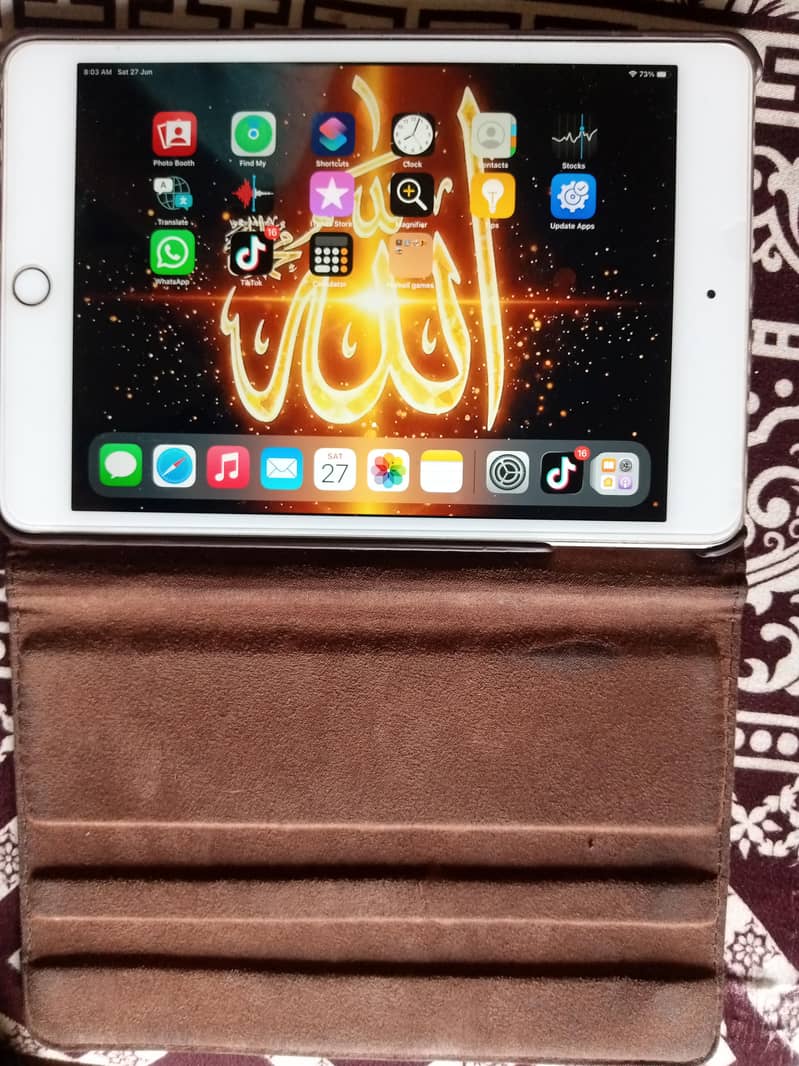 ipad Mini 1