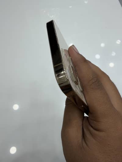Apple iPhone 12 Pro Max