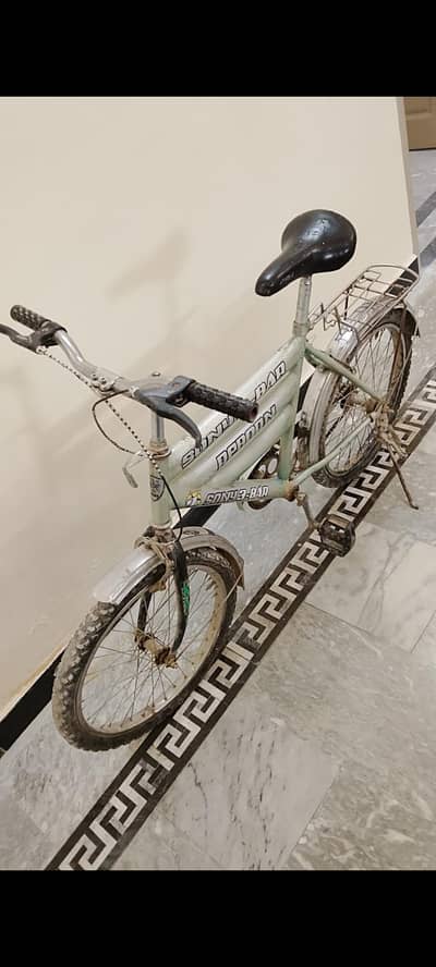 Best cycle for children