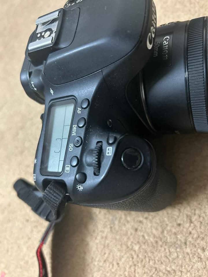 Canon EOS 80D 1