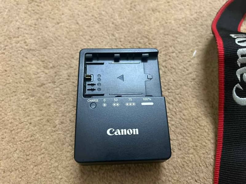 Canon EOS 80D 2
