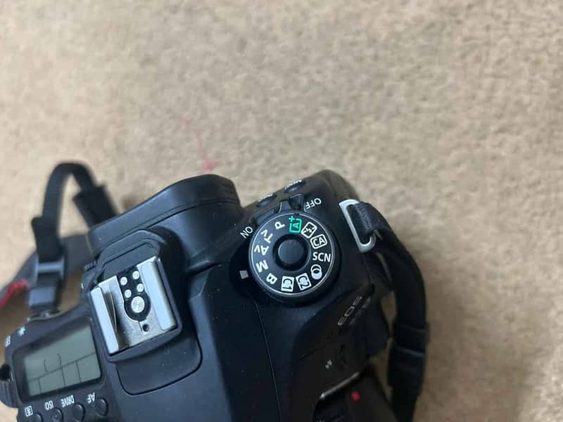 Canon EOS 80D 6