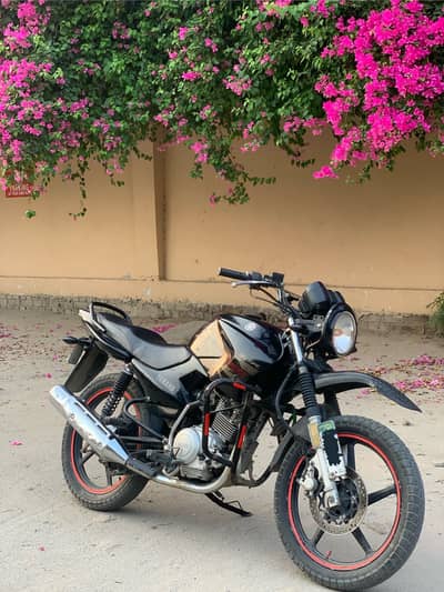 Yamaha ybr 125 g for sale