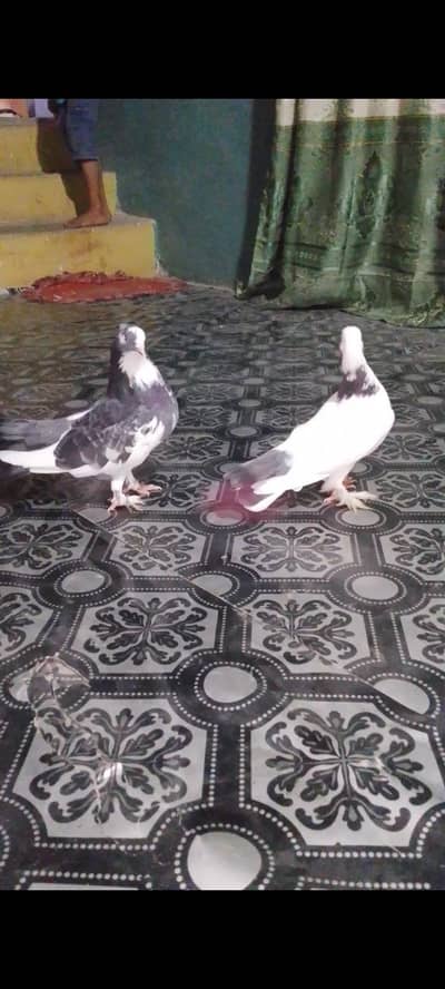 PAIRS