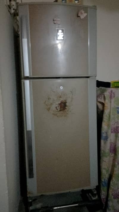 large size frige usd
