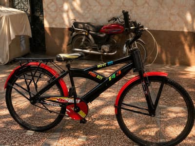  Modified Full Size  Bicycle – Excellent Condition | Black & Red