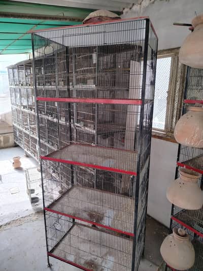 cage for sale