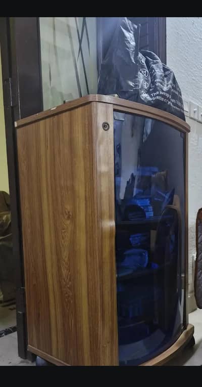 glass door cupboard and organizer