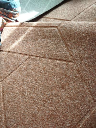 Carpet for sale