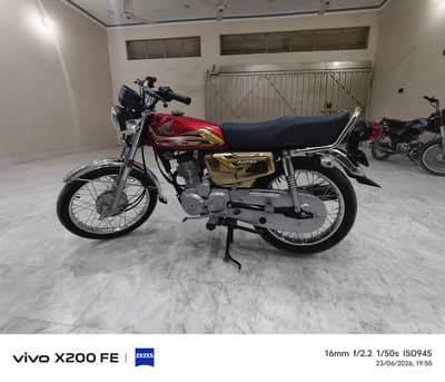 2026 Model read Gold