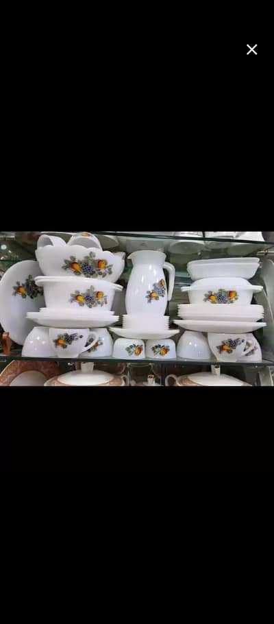 Arcapol dinner set 6 PCs France made
