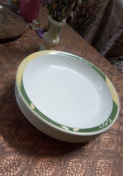6 Melamine Plates