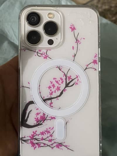 Apple iPhone 13 Pro Max