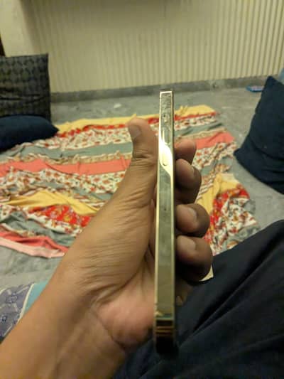 Apple iPhone 13 Pro factory unlocked