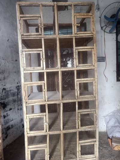 bird cage pinjra