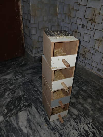 breeder pairs of finches for sale