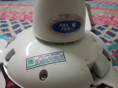 Pakfan ceiling fan 100% copper