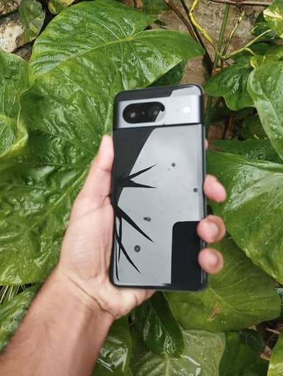 Google Pixel 8 Official PTa