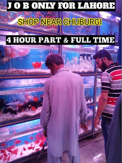 4 hour job near chuburgi shop part time full time