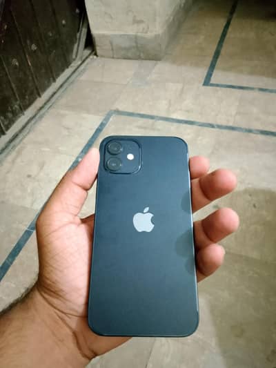 Apple iPhone 12