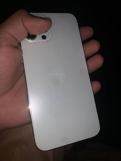Apple iPhone 12 Pro Max