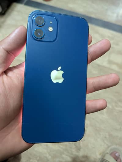 IPhone 12 64GB PTA Approved