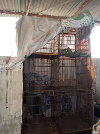 cages for sell