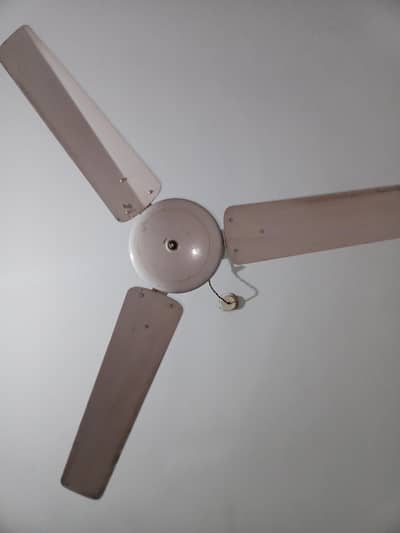 ceiling fan