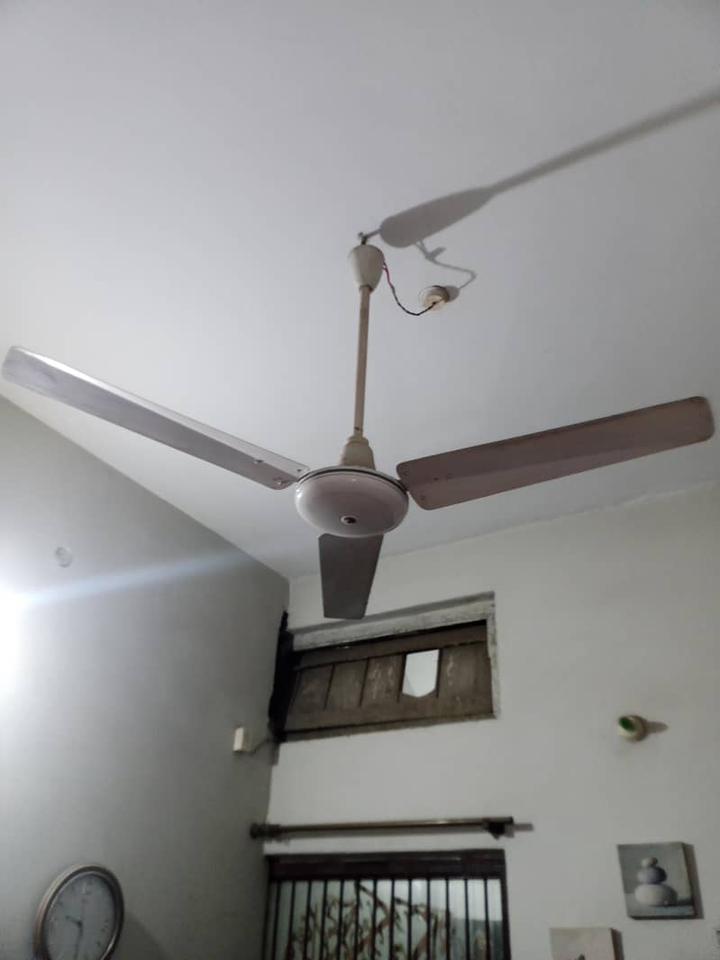 ceiling fan 1