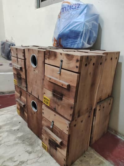 Lovebirds Breeding Boxes