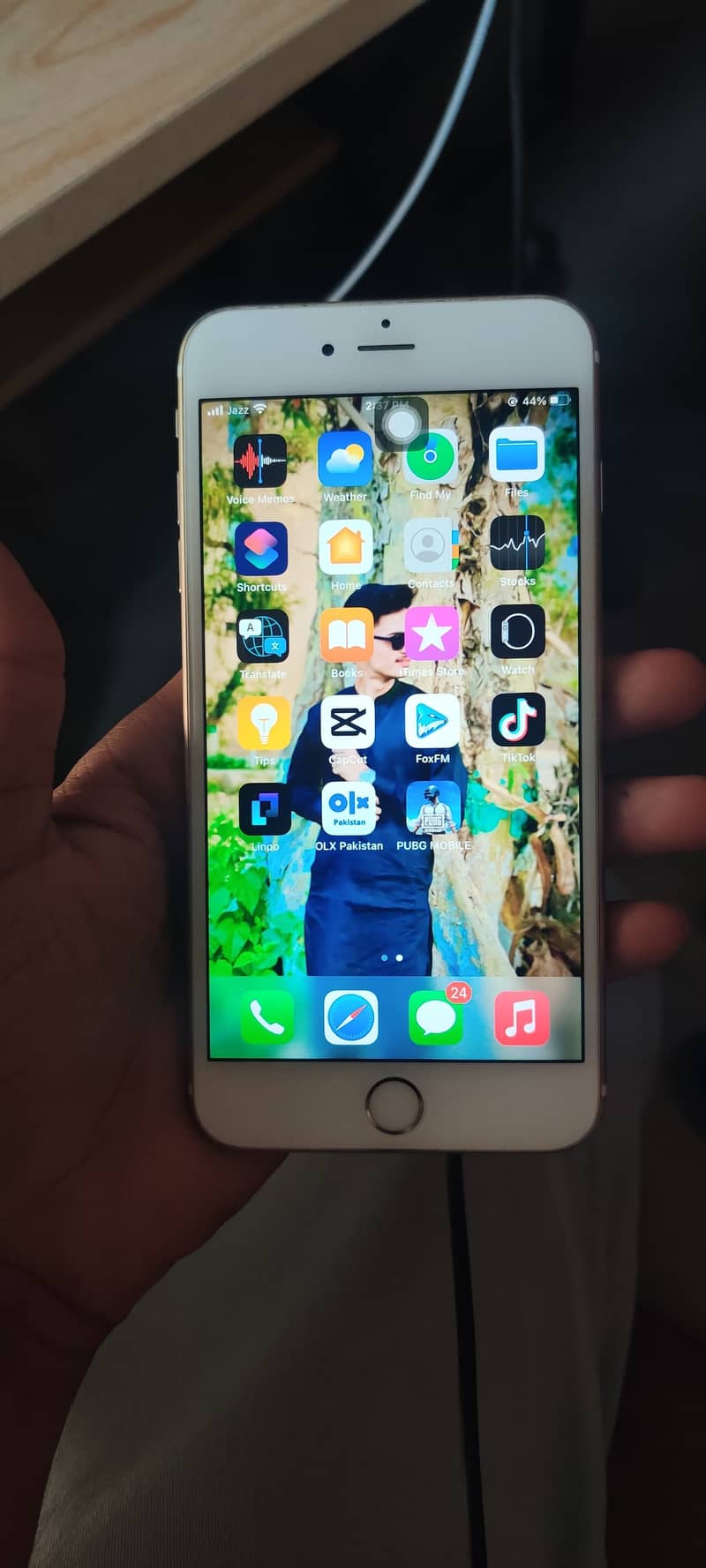 iPhone 6s Plus 1