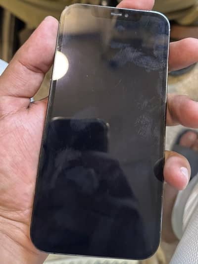 Apple iPhone 12 Pro Max