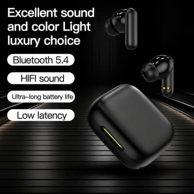 Earphones