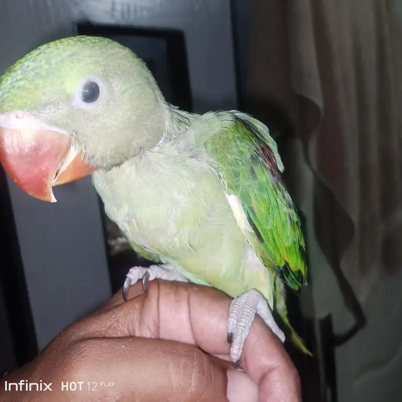 ر rawprn0t — photo 2