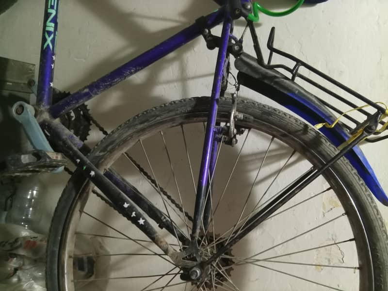 cycle 0
