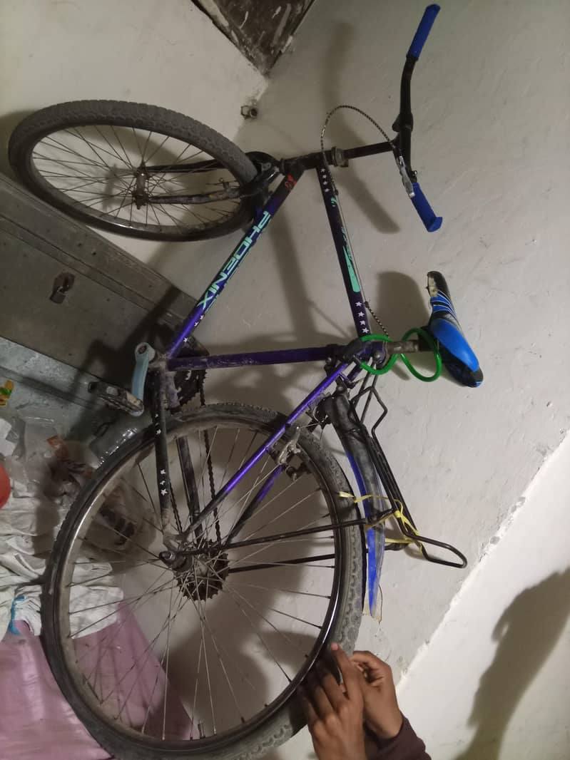 cycle 2