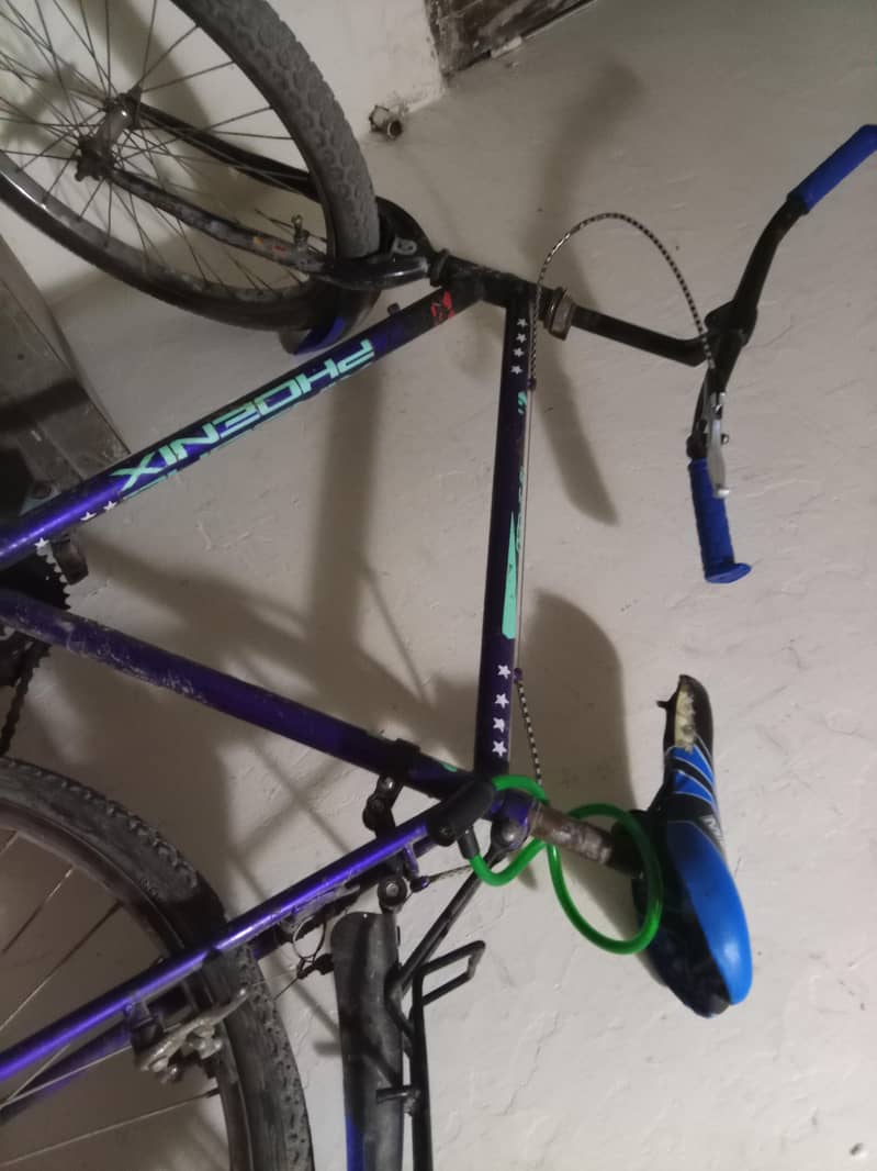 cycle 4