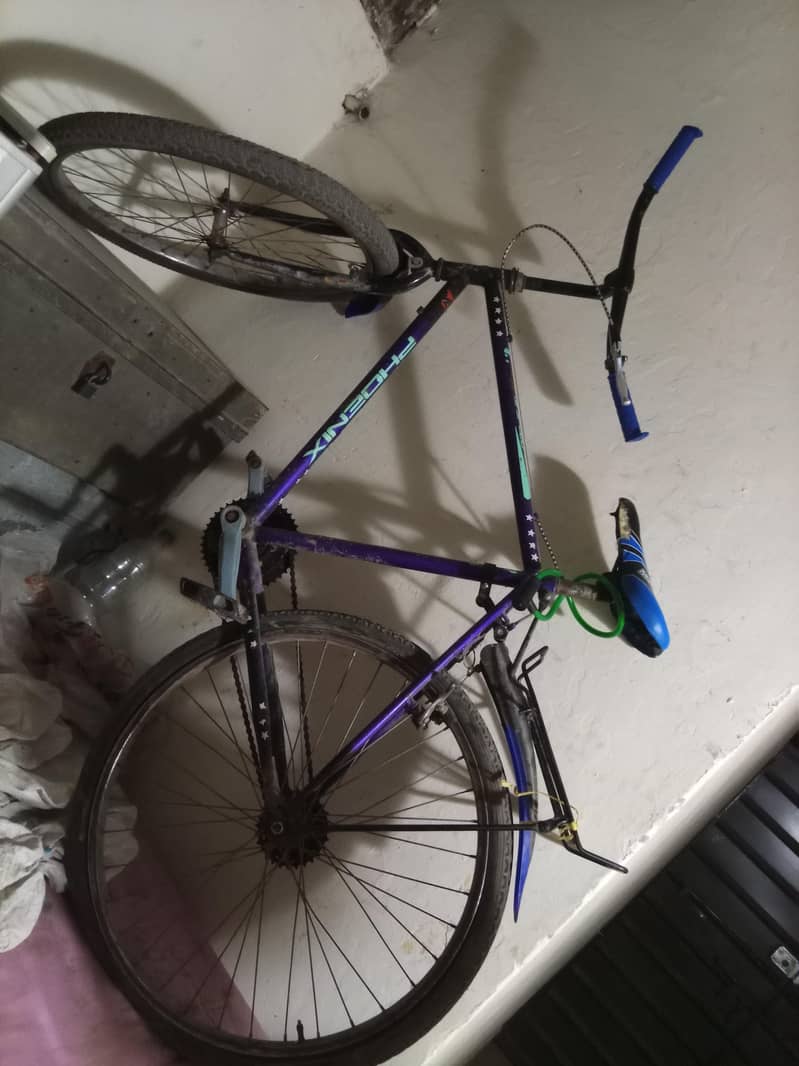 cycle 5