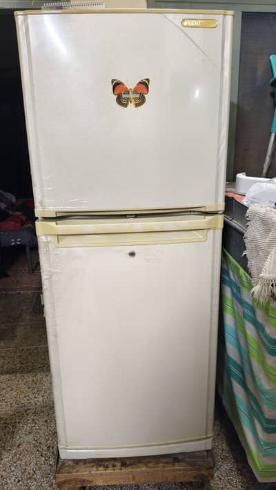 Fridge orient full size not repair fresh