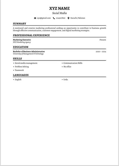 Professional ATS-Friendly CV / Resume Making Service