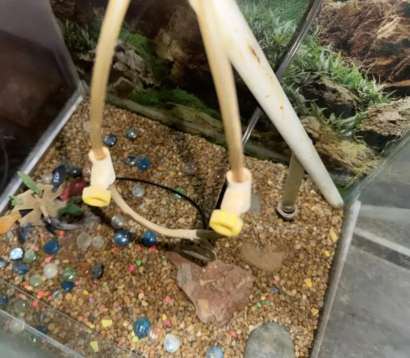Small Fish Tank In very good condition — photo 2