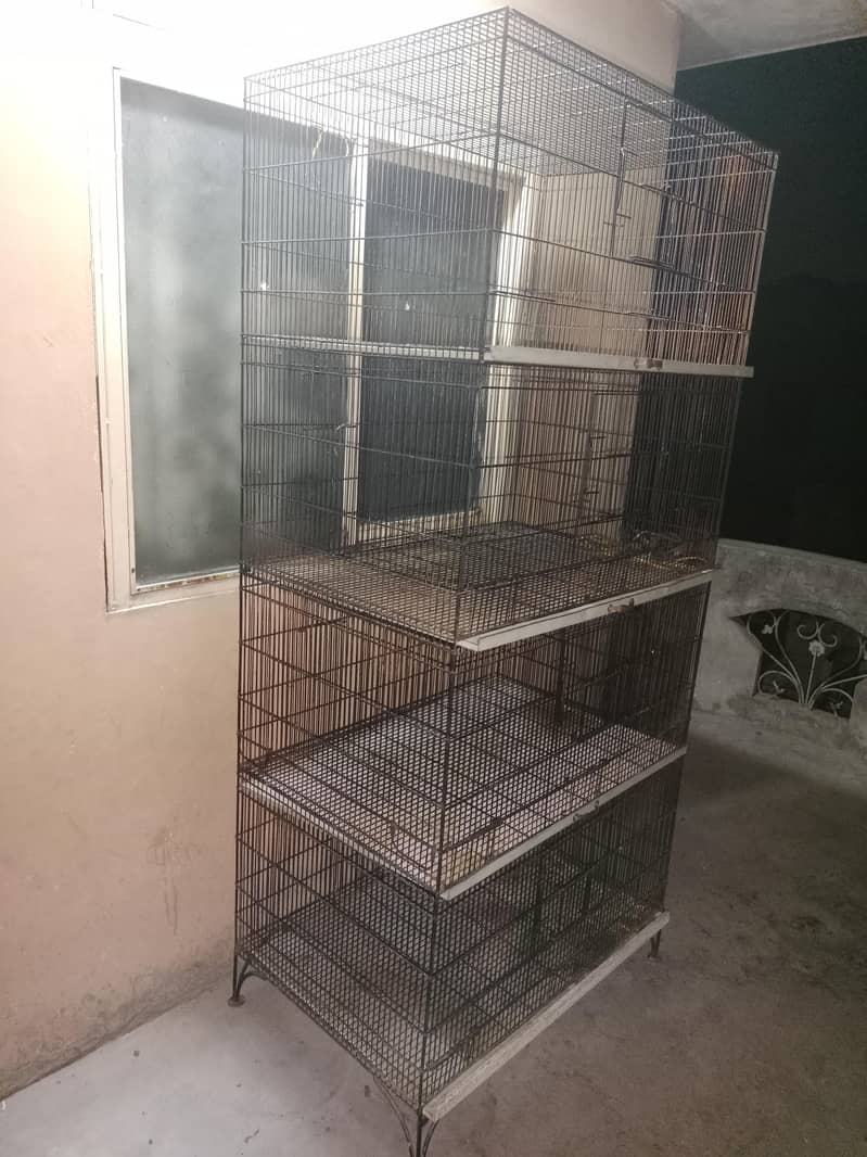 4 portion Cage 2