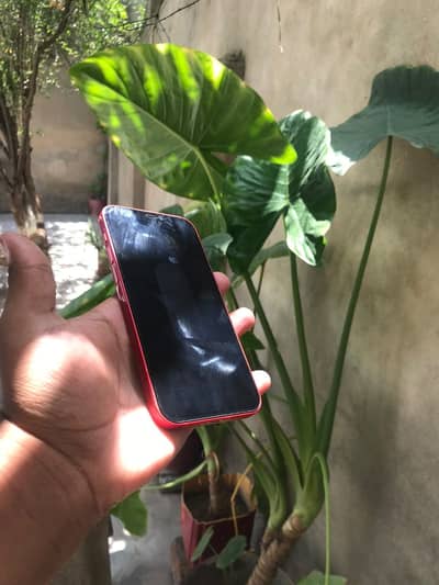 Apple iPhone 12 JV