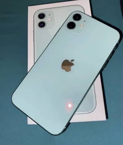 Apple iPhone 11 no issue