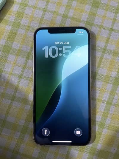 Apple iPhone 12 Pro