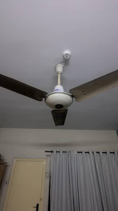 Royal Fan (70 watts)