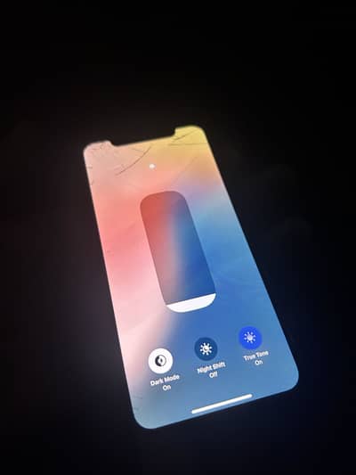 Apple iPhone XS dual app