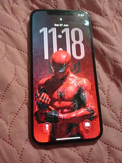 Apple iPhone 12 Pro Max
